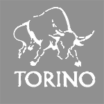 torino-logo